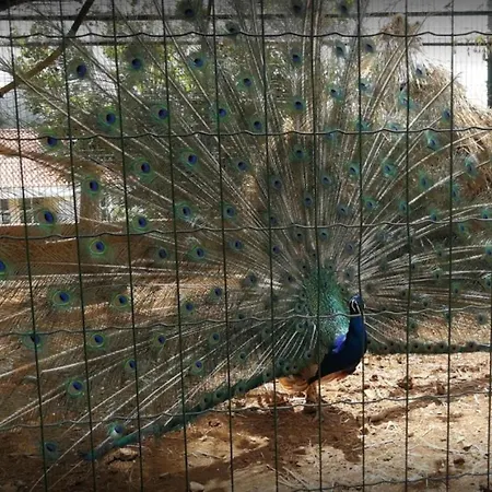 شقة Casa Santana *