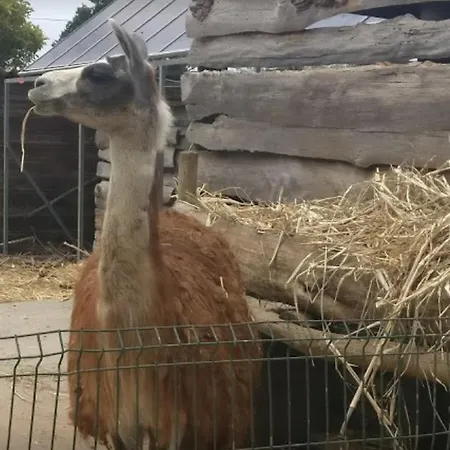 شقة Casa Santana *