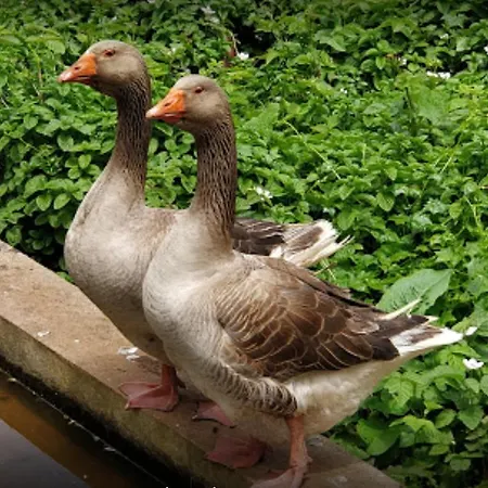 Casa Santana شقة *