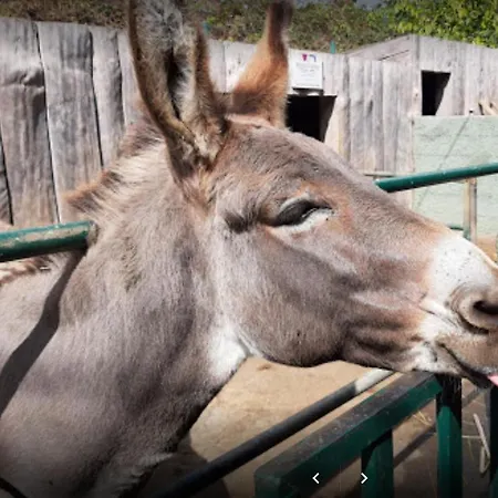 Casa Santana Apartamento