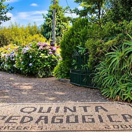 Casa Santana With Ocean Views, Parking & Wifi * Estreito Da Calheta