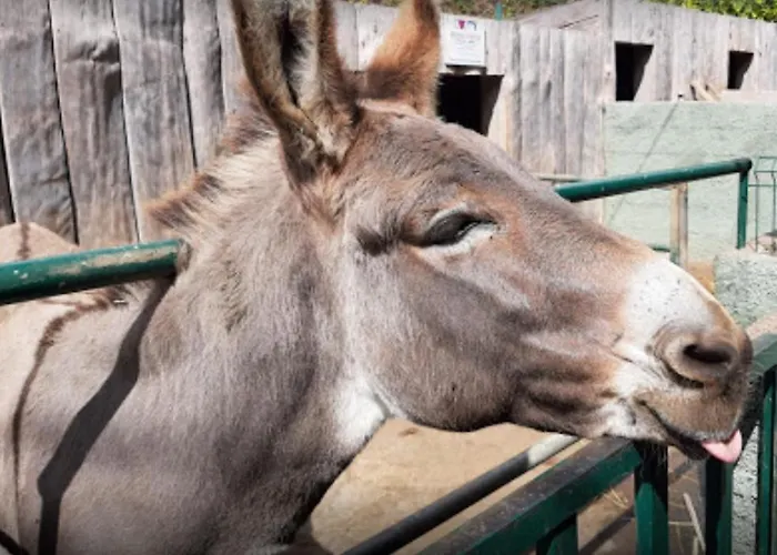 Casa Santana Appartamento