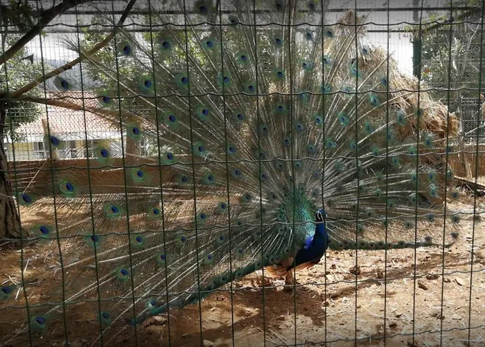 Appartamento Casa Santana *