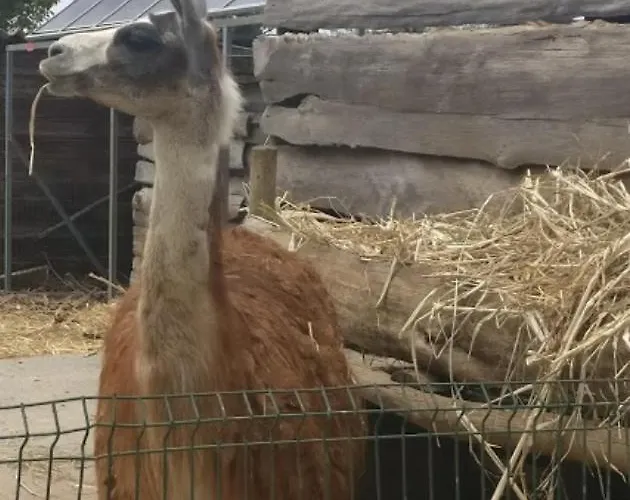 Апартаменты Casa Santana *