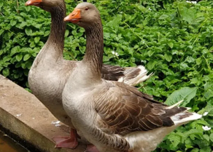 Casa Santana Apartman *